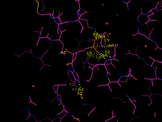 Shows the polar interactions between ligand and protein