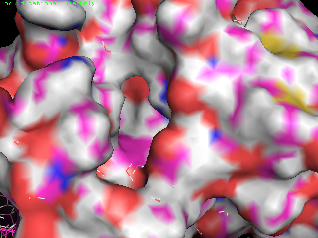 Surface view with readjusted clipping planes