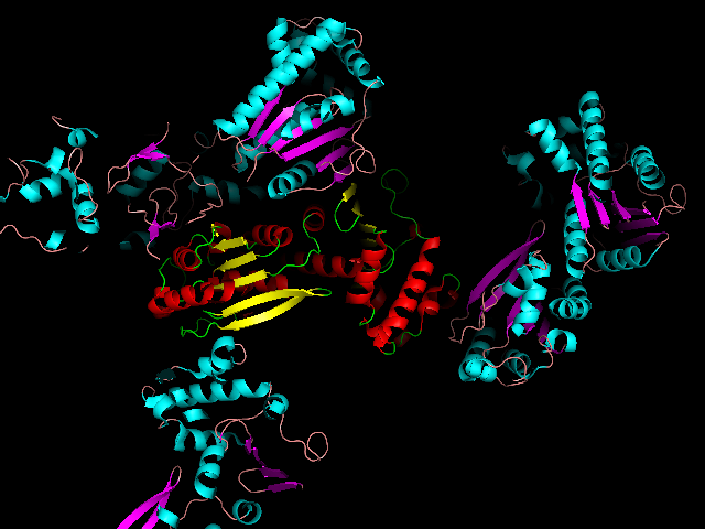 Symmetry mates displayed and coloured differently