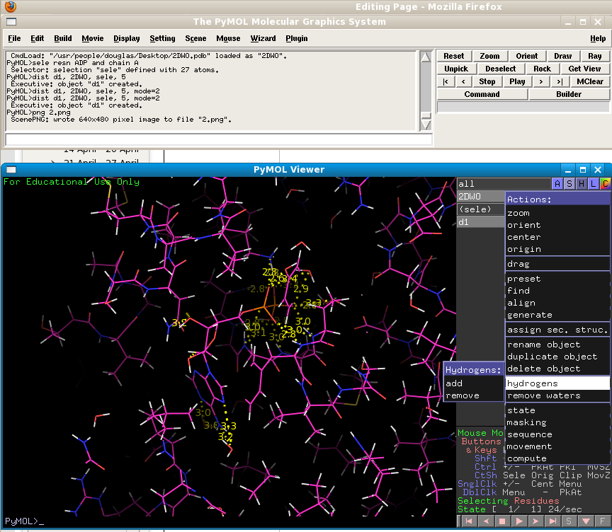 Shows how to add hydrogens to the structre