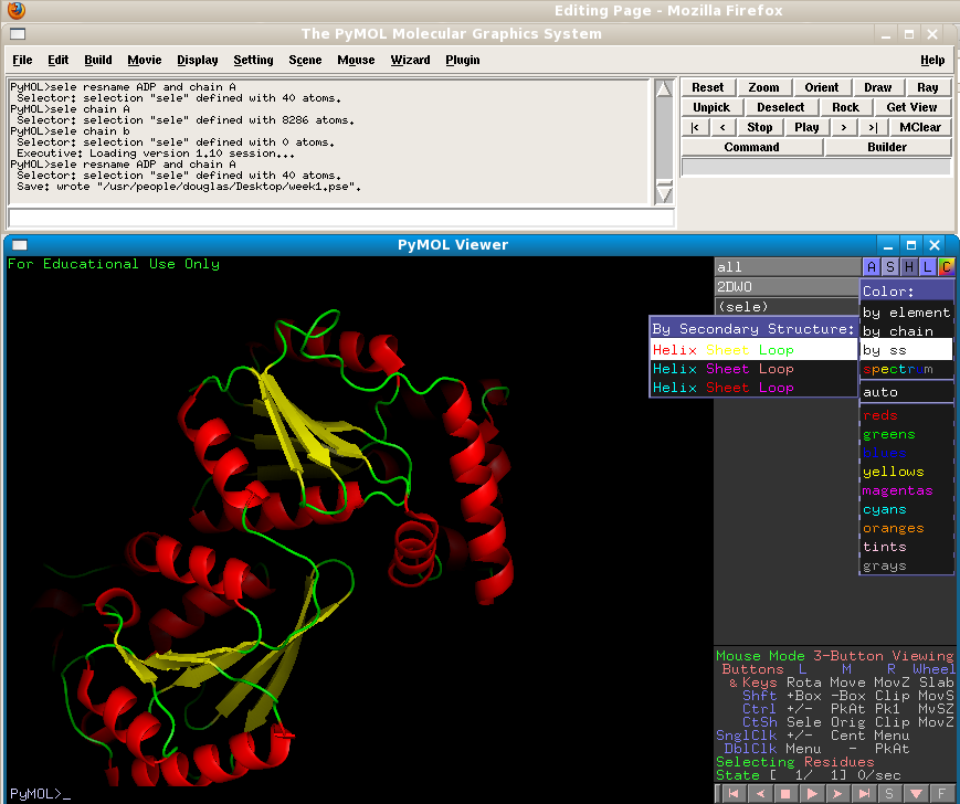 How to display secondary structure