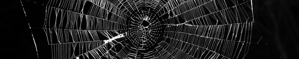 spider web banner