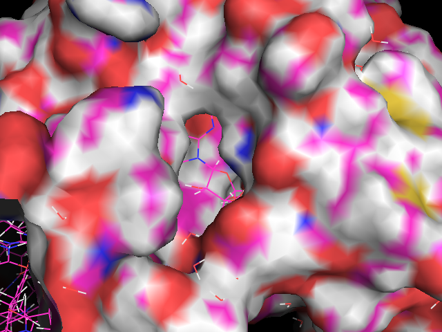The ligand in the binding pocket